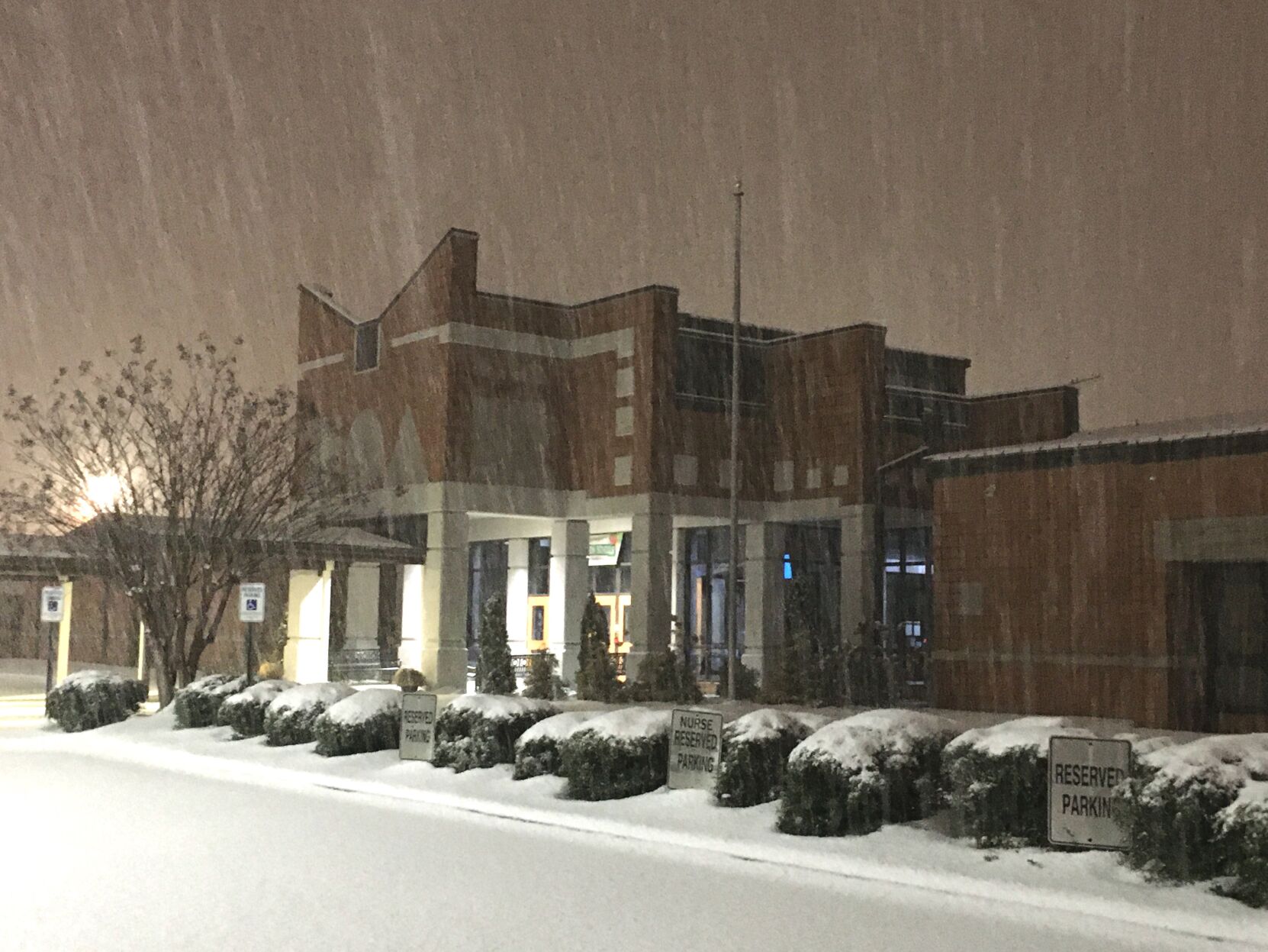 Chestnut Grove snow